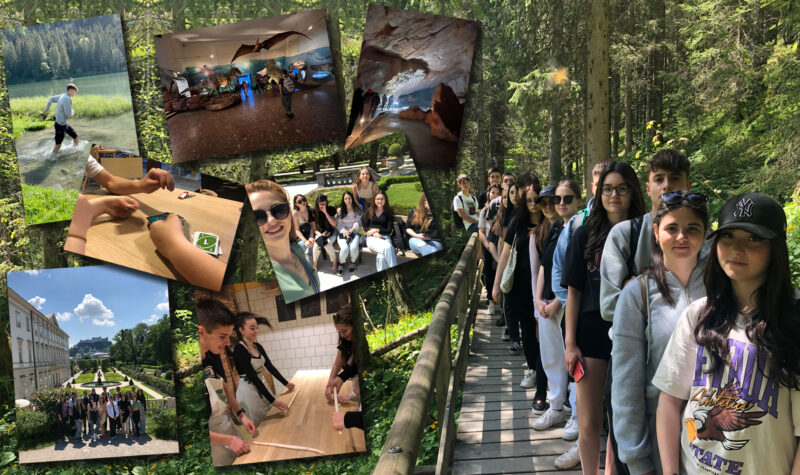 Projektwoche der 1. Handelsschule