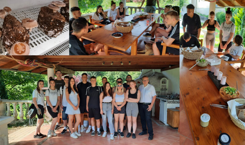 Besuch beim „Schwammerlkönig“