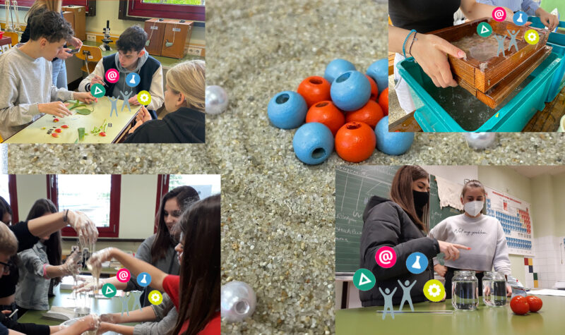 Wir sind eine MINT-zertifizierte Schule