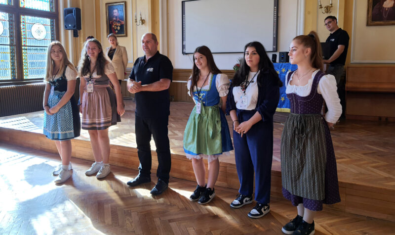 DiViNe: Project Meeting in Timișoara